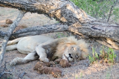 2015 - Südafrika Urlaub - 0397